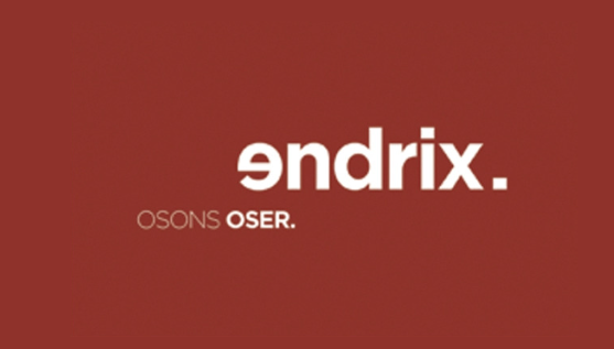 Endrix